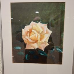 schilder-december2025 (2)