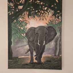 schilder-december2025 (7)